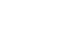 bds logo